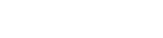 CVI Finance & Control