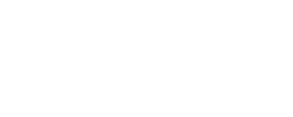 Dutch Transport Group